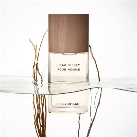 OIP (1) ISSEY MIYAKE VETIVER HIM FOR EDT 100ML - Additional view