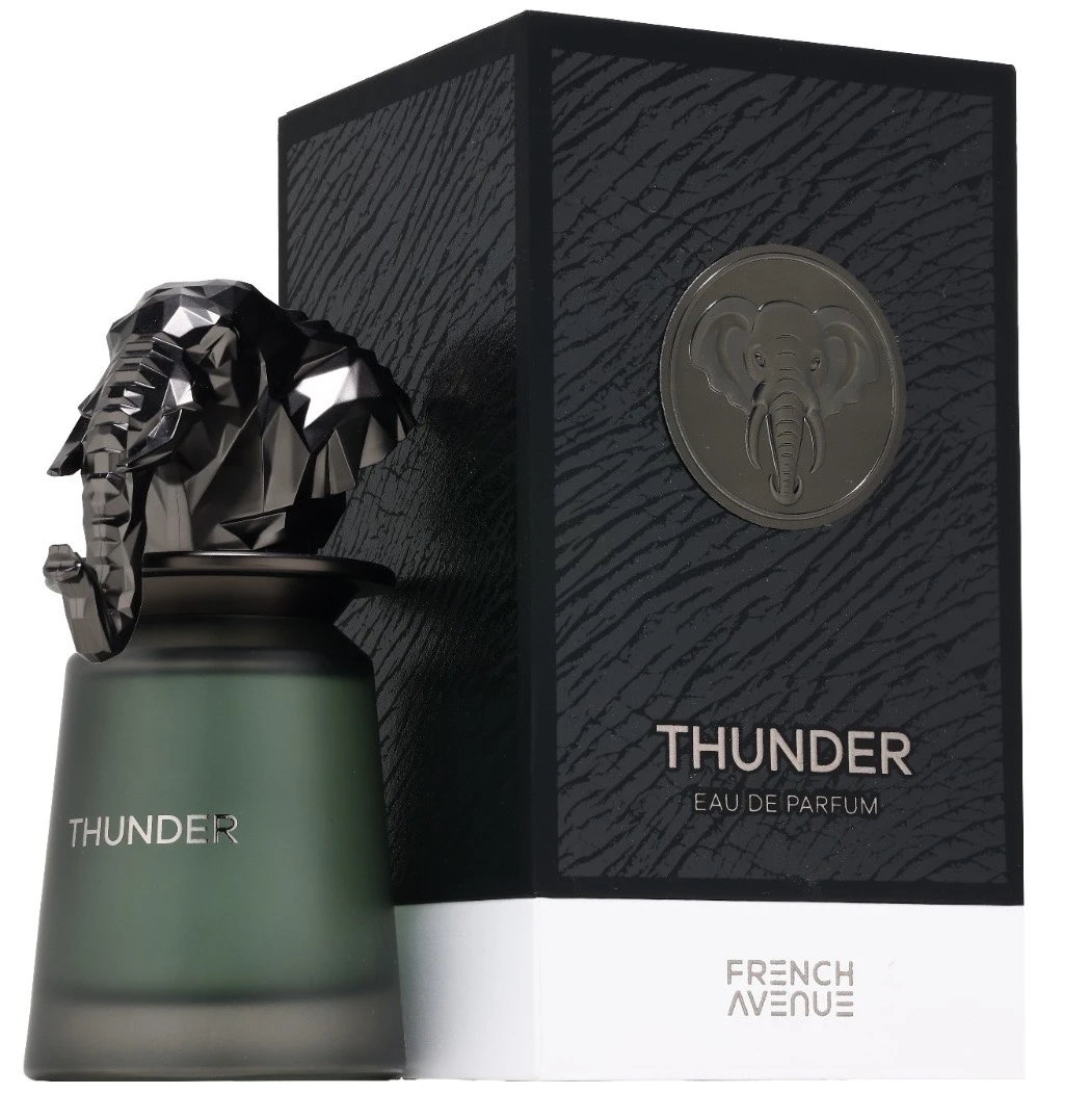 FRENCH AVENUE THUNDER EDP 100 ML FOR MEN